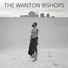 THE WANTON BISHOPS – under the sun (CD, LP Vinyl)