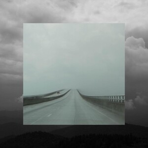 THE WEDDING PRESENT – going, going... (CD)