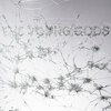 THE YOUNG GODS – appear disappear (CD, LP Vinyl)