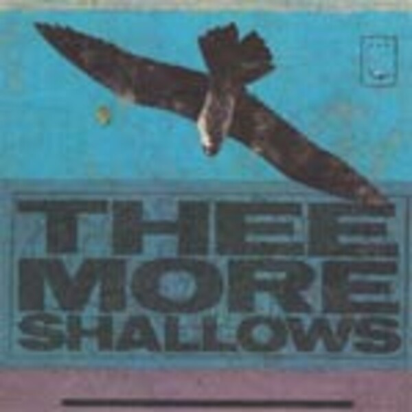 Cover THEE MORE SHALLOWS, book of bad breaks