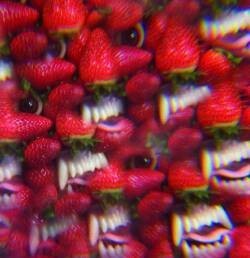 Cover THEE OH SEES, floating coffin