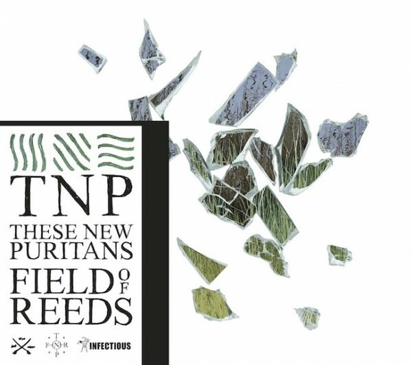 THESE NEW PURITANS – field of reeds (LP Vinyl)