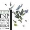 THESE NEW PURITANS – field of reeds (LP Vinyl)