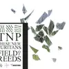 THESE NEW PURITANS – field of reeds (LP Vinyl)