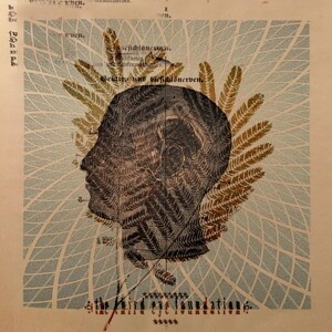 THIRD EYE FOUNDATION – wake the dead (CD, LP Vinyl)