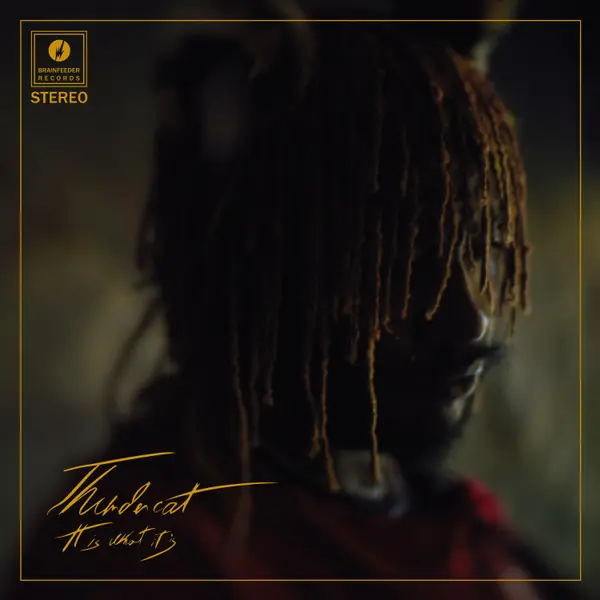 THUNDERCAT – it is what it is (CD, LP Vinyl)
