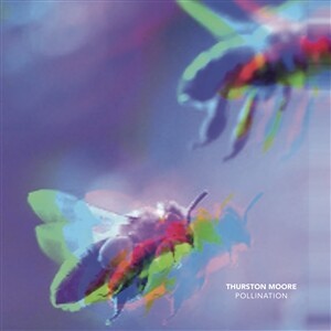 Cover THURSTON MOORE, pollination