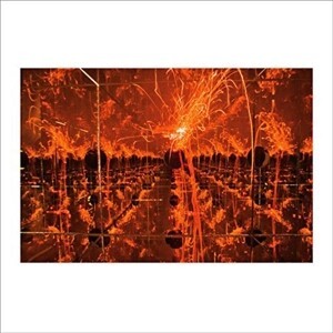Cover TIM KINSELLA, firecracker in a box of mirrors