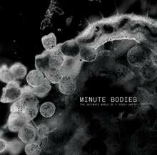 Cover TINDERSTICKS, minute bodies