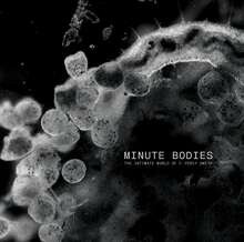 TINDERSTICKS – minute bodies (CD, LP Vinyl)