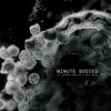 TINDERSTICKS – minute bodies (CD, LP Vinyl)