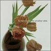 TO ROCOCO ROT – amateur view (LP Vinyl)