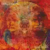 TODAY IS THE DAY – animal mother (LP Vinyl)