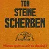 TON STEINE SCHERBEN – warum geht es mir so dreckig? (CD, LP Vinyl)