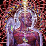 TOOL – lateralus (LP Vinyl)