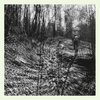 TOPOGRAPHIES – interior spring (LP Vinyl)