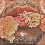 TORO Y MOI, underneath the pine cover