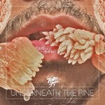 TORO Y MOI – underneath the pine (LP Vinyl)