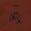 TORSO (AUSTRIA) – limbs (CD, LP Vinyl)
