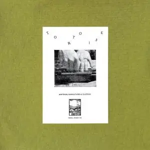 TORTOISE – rhythms, resolutions & clusters (LP Vinyl)