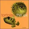 TORTOISE / THE EX – in the fishtank 5 (CD)