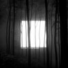 TÖRZS – menedek (CD, LP Vinyl)