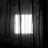 TÖRZS – menedek (CD, LP Vinyl)