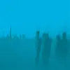 TOUCHE AMORE – is survived by (CD, LP Vinyl)