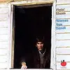 TOWNES VAN ZANDT – flying shoes (LP Vinyl)