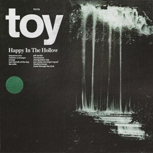 Cover TOY, happy in the hollow
