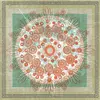 TRAMPLED BY TURTLES – life is good on the open road (CD, LP Vinyl)