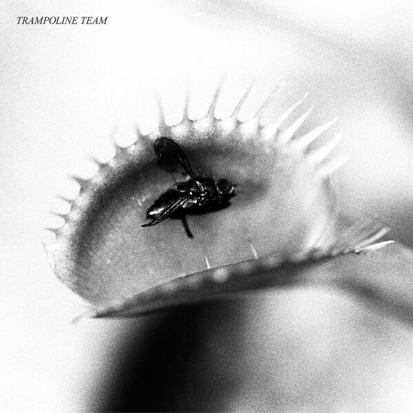 TRAMPOLINE TEAM – s/t (LP Vinyl)