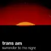 TRANS AM – surrender to the night (CD)