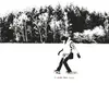 TROY VON BALTHAZAR – it ends like crazy (CD, LP Vinyl)
