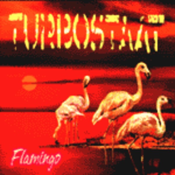 Cover TURBOSTAAT, flamingo