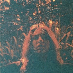 TURNOVER – peripheral vision (LP Vinyl)