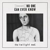 TWILIGHT SAD – no one can ever know (CD, LP Vinyl)