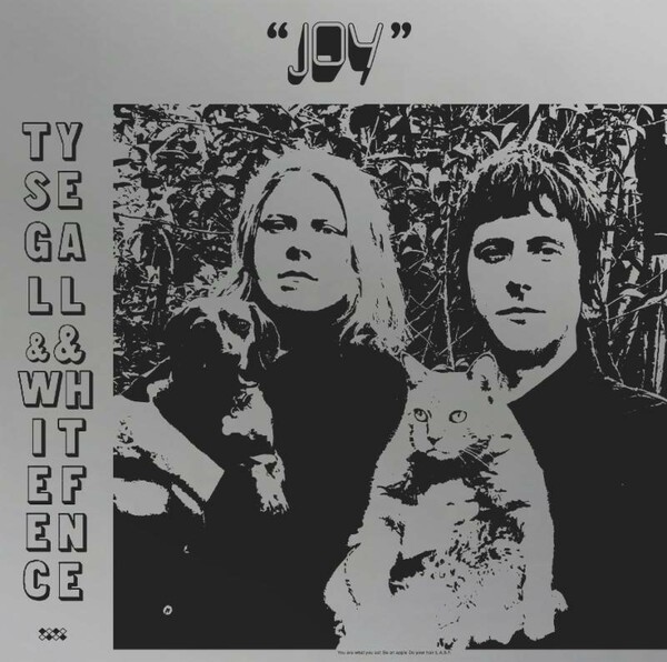 TY SEGALL & WHITE FENCE – joy (CD, LP Vinyl)