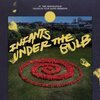 URANIUM CLUB – infants under the bulb (LP Vinyl)