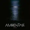 V/A – ambientale (CD, LP Vinyl)