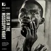 V/A – blues in the mississippi night (CD, LP Vinyl)