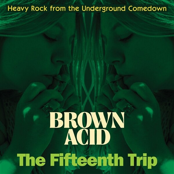 V/A – brown acid: the fifteenth trip (LP Vinyl)