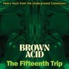 V/A – brown acid: the fifteenth trip (LP Vinyl)