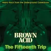 V/A – brown acid: the fifteenth trip (LP Vinyl)
