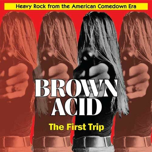 V/A – brown acid: the first trip (LP Vinyl)