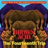 V/A – brown acid: the fourteenth trip (CD, LP Vinyl)