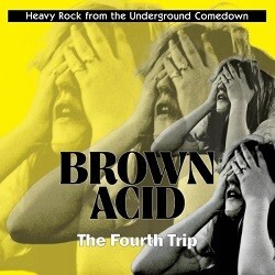 V/A – brown acid: the fourth trip (CD, LP Vinyl)