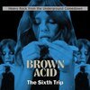 V/A – brown acid: the sixth trip (CD, LP Vinyl)