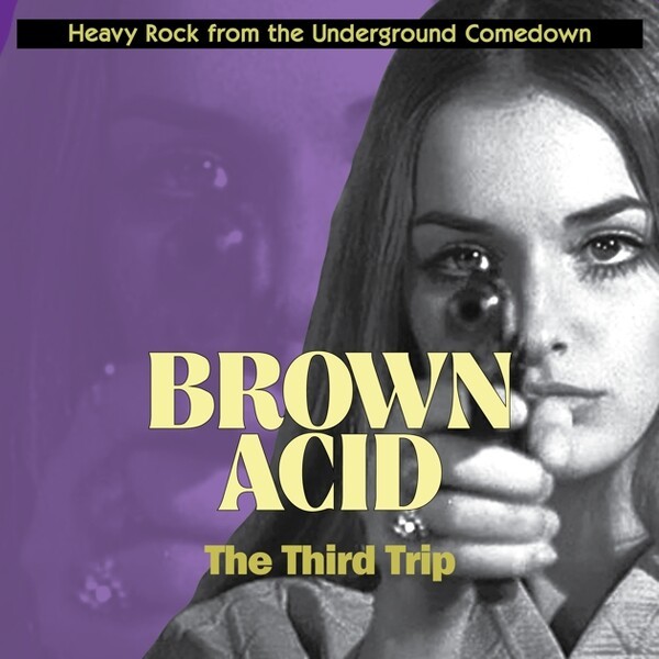 V/A, brown acid: the third trip cover