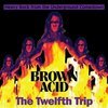 V/A – brown acid: the twelfth trip (CD, LP Vinyl)